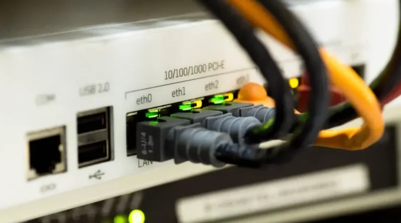 A curiosidade da internet Fatos que poucos conhecem